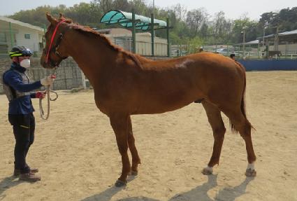 �ķ��þ� ����