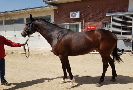 �����׸� ����