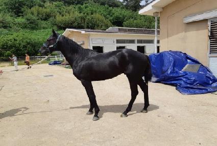 �ְ��¾� ����