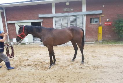 ���������� ����