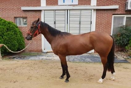 �Ѷ�Ȳ�� ����