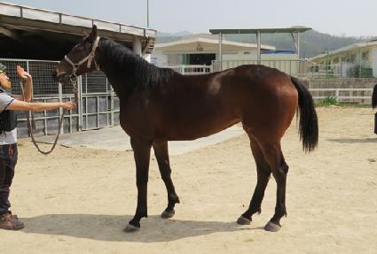 ���� ����