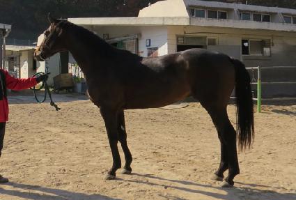 �ְ����� ����