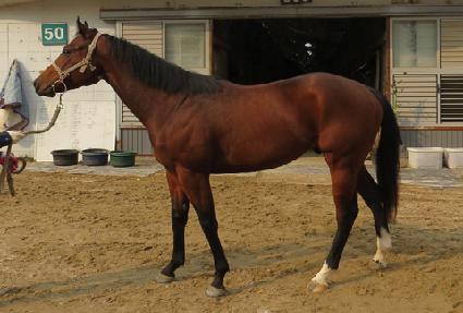 ���μ��� ����