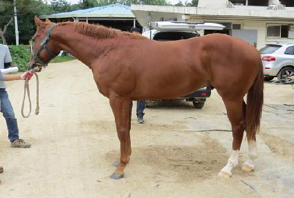 �����̱��� ����