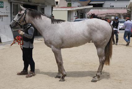 �ְ����� ����