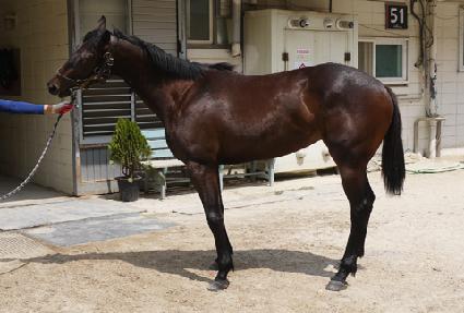 �����ູ ����