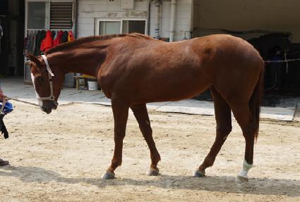 �ض� ����