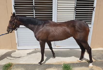 �޴��� ����