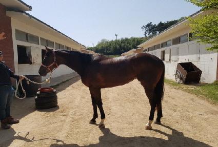 �ݰ�ĥ�� ����