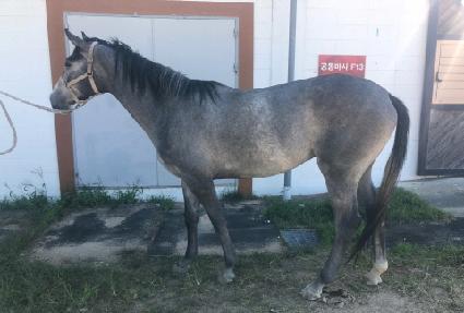 õ���Ǳ��� ����