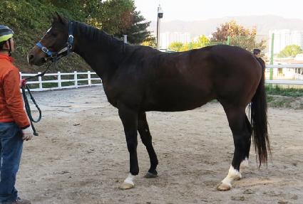 ��翬 ����