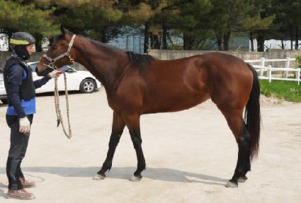 ����ο� ����