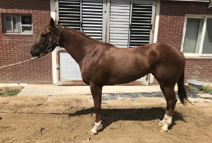 ������ũ ����