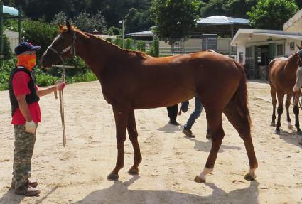 �ο����� ����