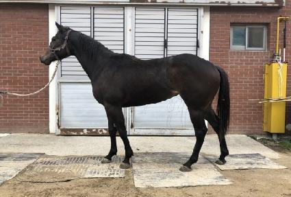 �����ϴ� ����