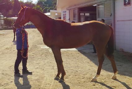 ���������� ����