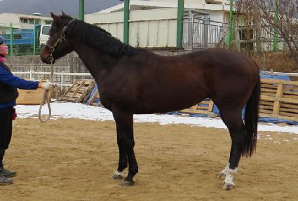 ���Ϸ�Ʈ ����