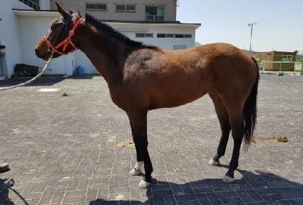 ������ĭ ����