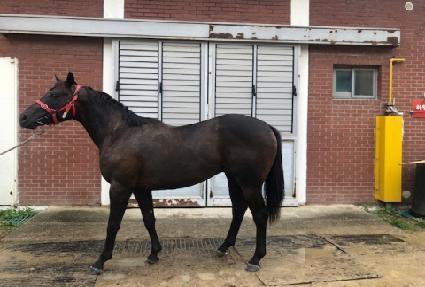 �ʽ��÷� ����