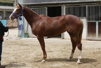 ������� ����