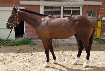 ������Ƽ (DISCO PARTY) ����