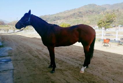 ��ġ���� ����