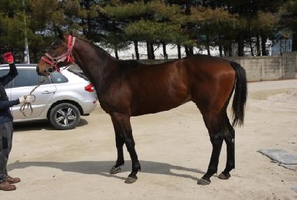 �ƶ�� ����