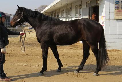 ���׸� ����