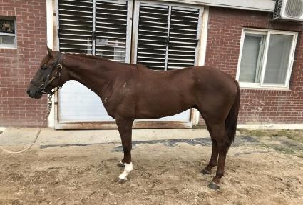 ����Ҹ� ����