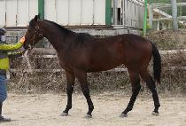 ������ž (OKAY TAP) ����