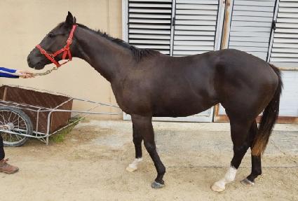 �������� ����