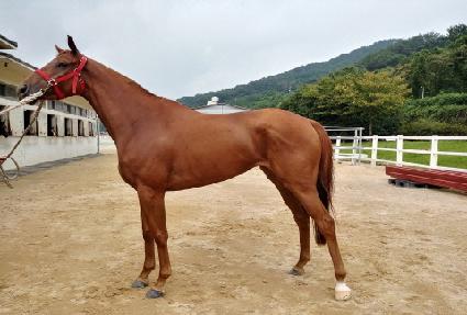 ������� ����