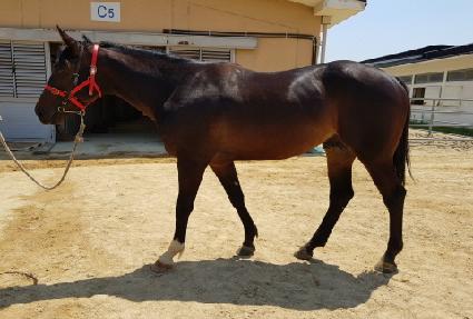 ���̰̽����� ����