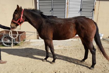 ���潺���� ����