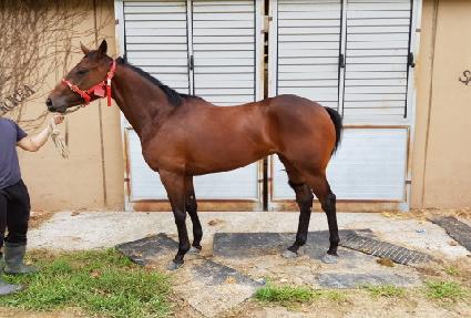 �����̽��� ����