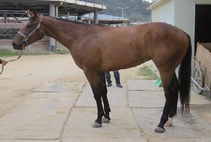 ���ø�Ƽ�� ����