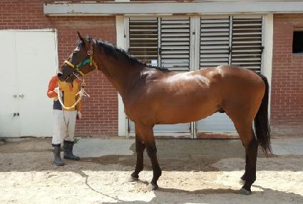 �ο�Ƽ�� ����