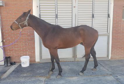 ���̿��� ����