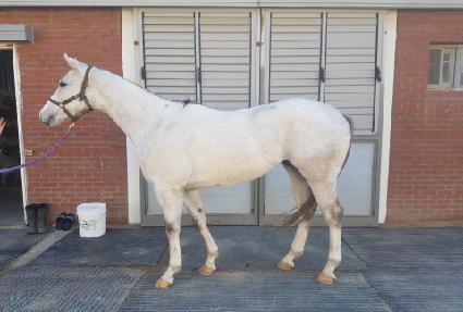 �Ѽ��帲 ����