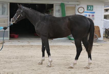 ���������� ����