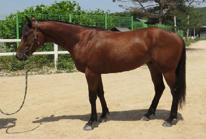 ���ϼ��� ����