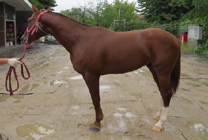 ��ǳ���� ����