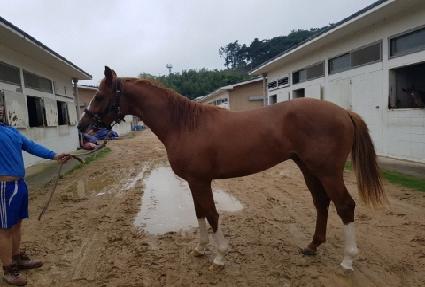 �ļ����� ����