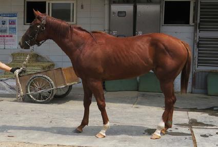 ��ũ���� ����