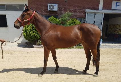 �Ǵн��� ����