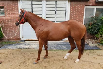 ����Ʈŷ ����