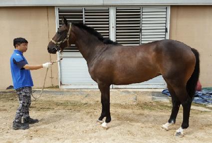 õ������ ����