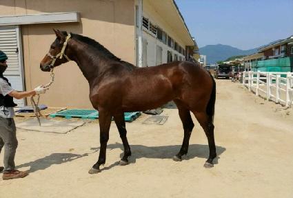 Ƽ�ƶ����� ����