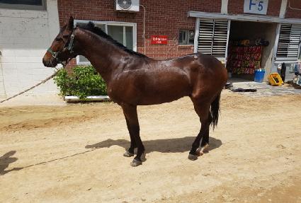 ���ͳ�Ʈ�� ����